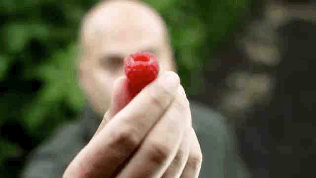 1691372687174072.gif 10022.gif