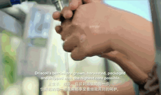 1691372694879641.gif 10023.gif