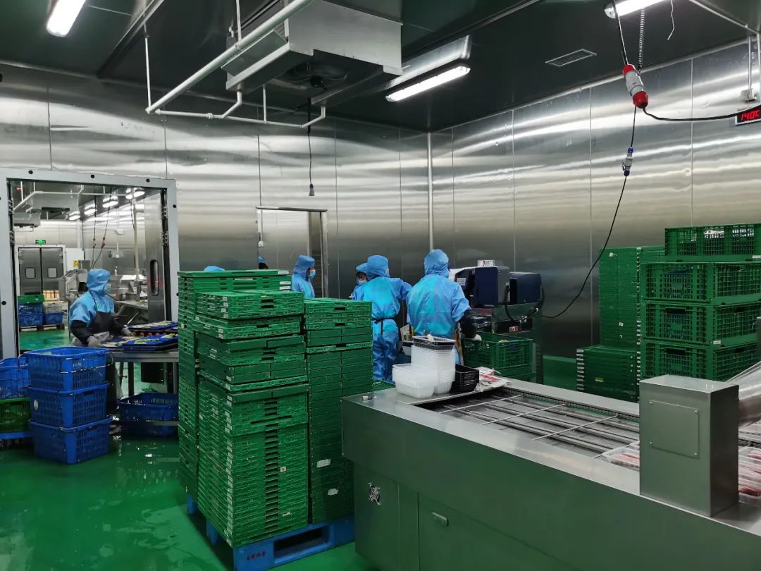 1691725098659463.jpg 10006.jpg