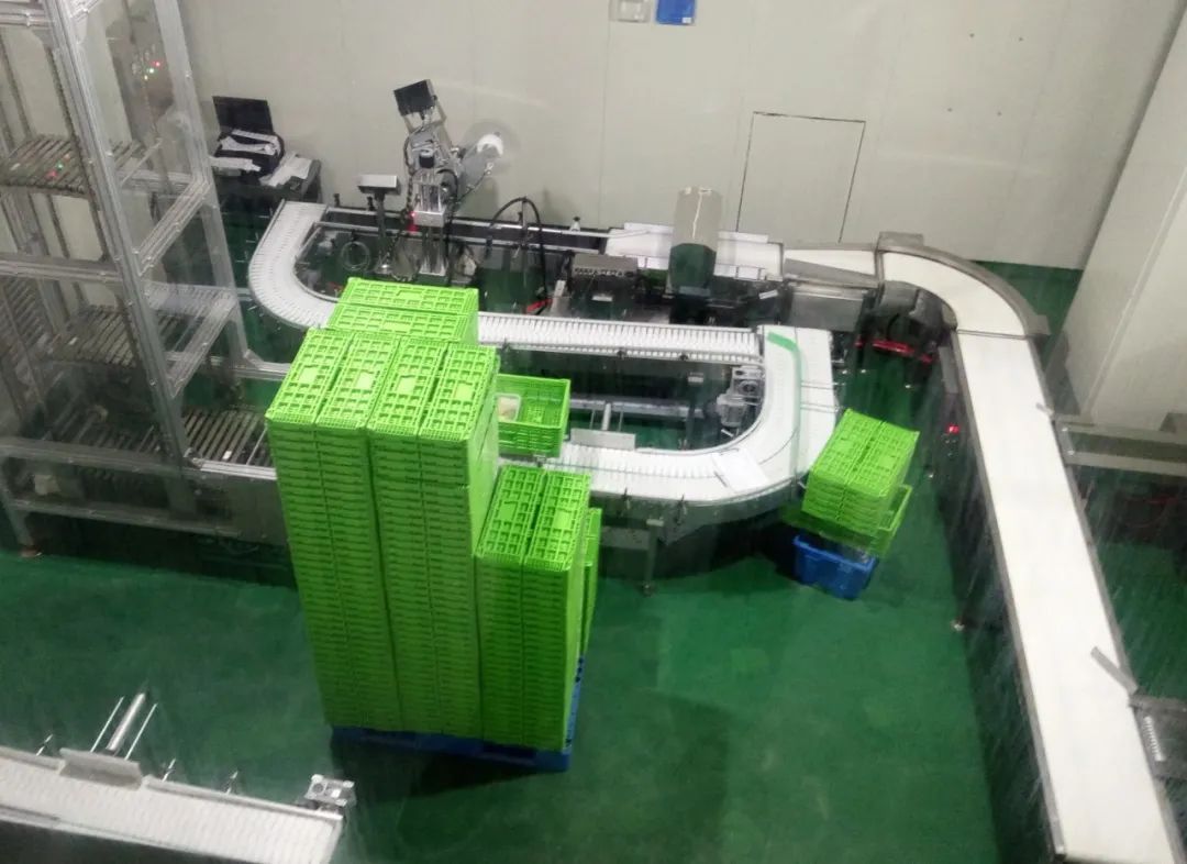 1691725105720984.jpg 10007.jpg