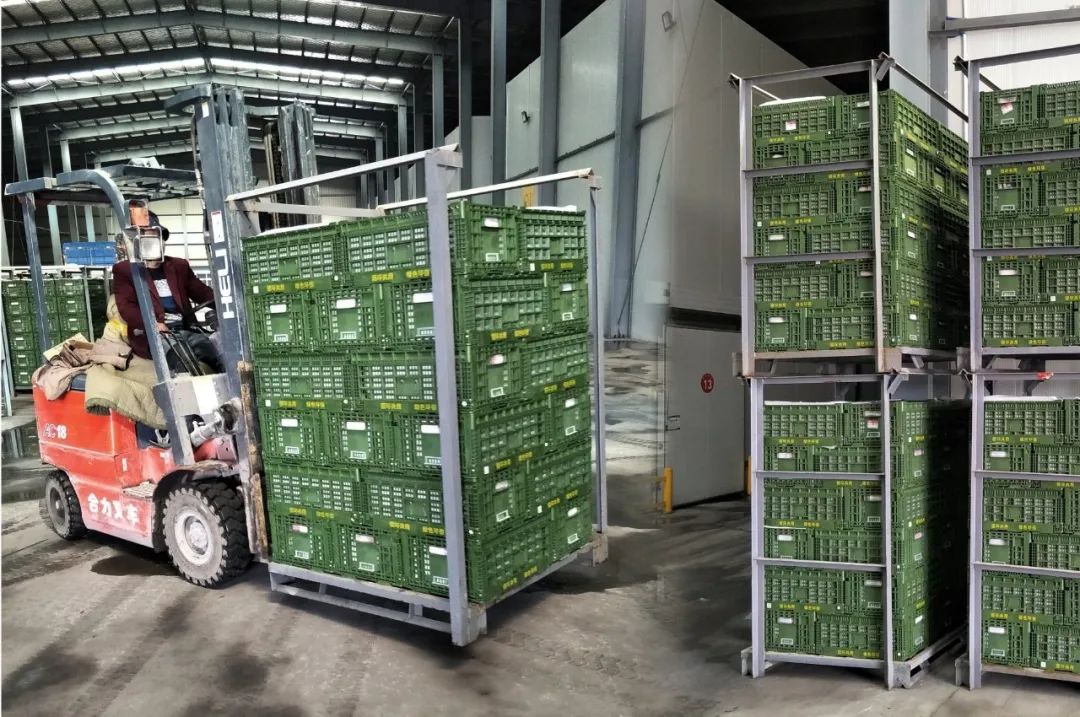 1691725111767950.jpg 10008.jpg