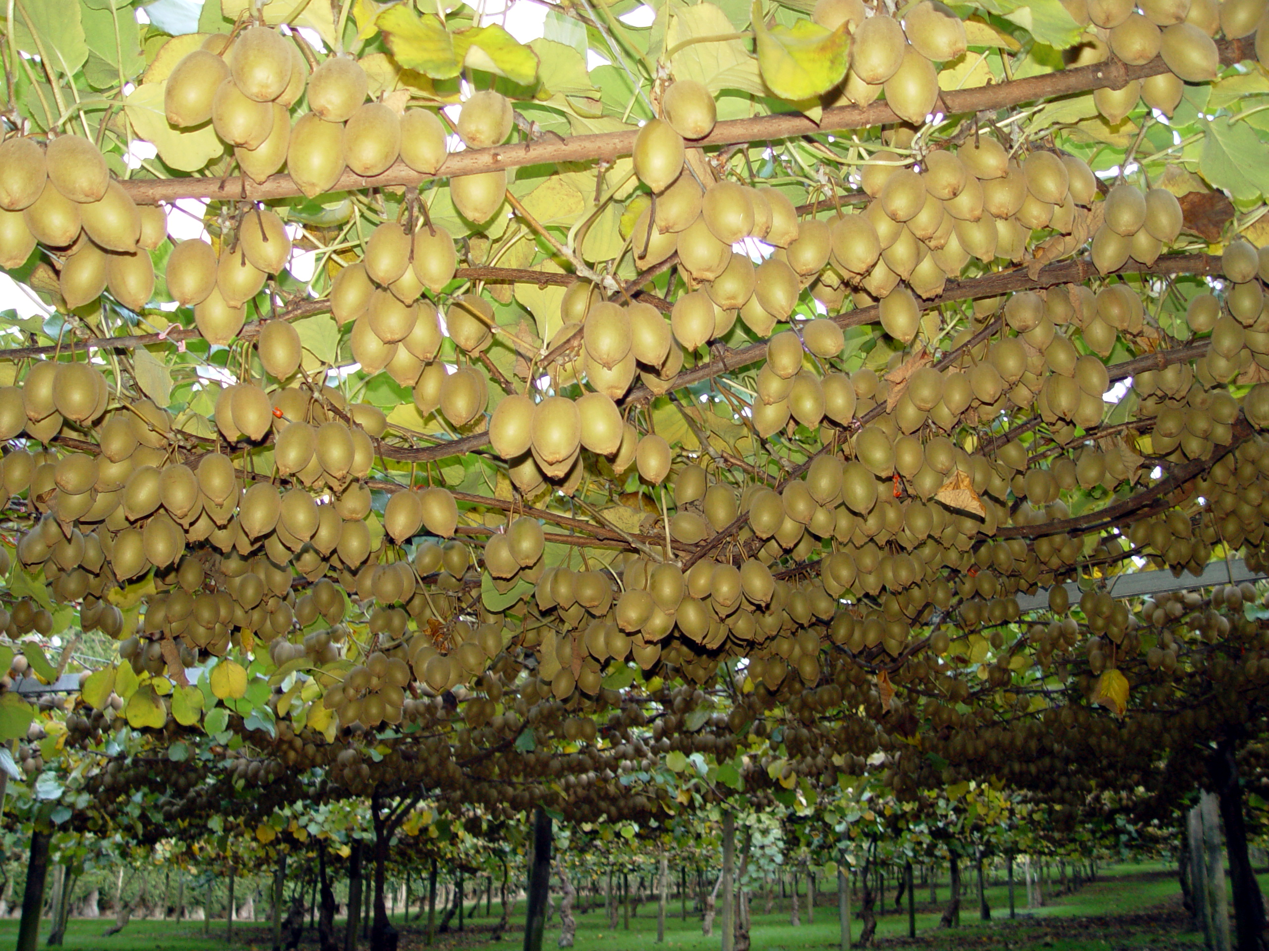 1692150004140290.jpg 5.JPG