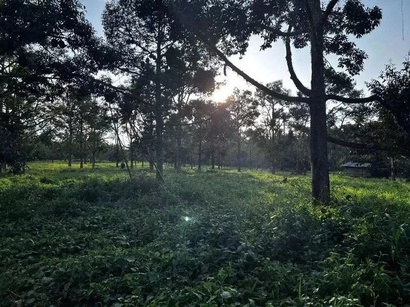 1692237205696259.jpg 10003.jpg