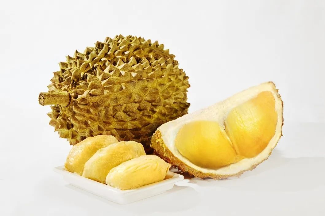 1692237242211198.jpg 10009.jpg