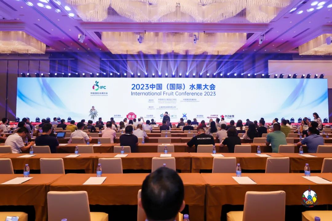 1694571794299884.jpg 10021.jpg