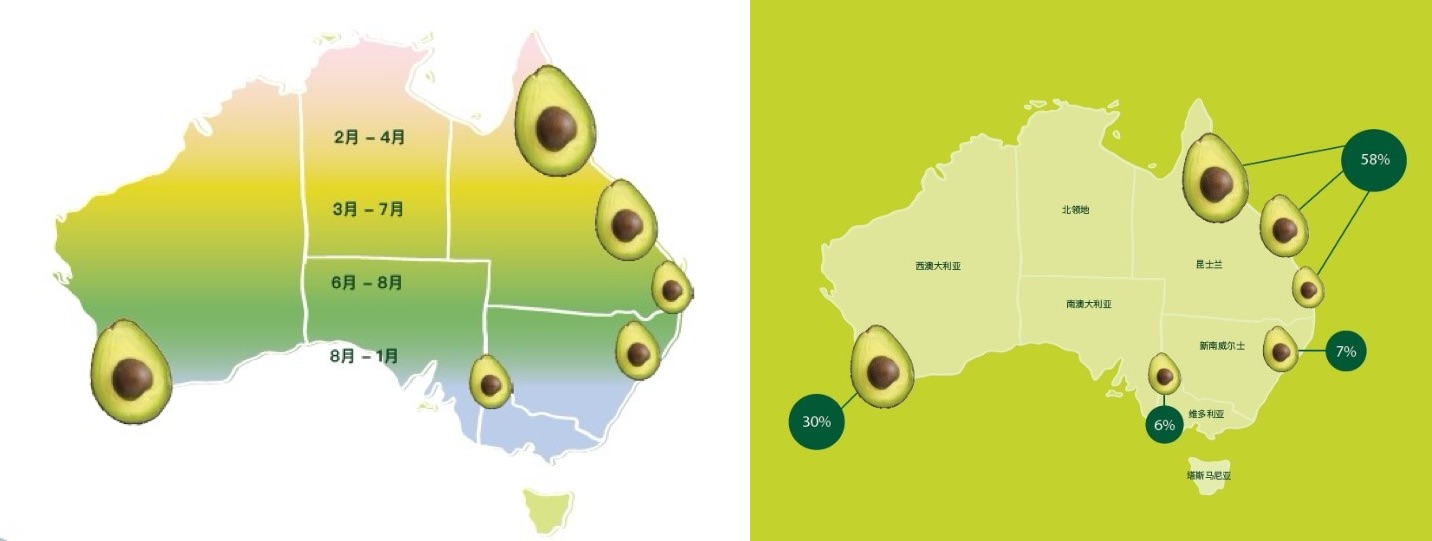 1706170610951956.jpg 1+2.jpg