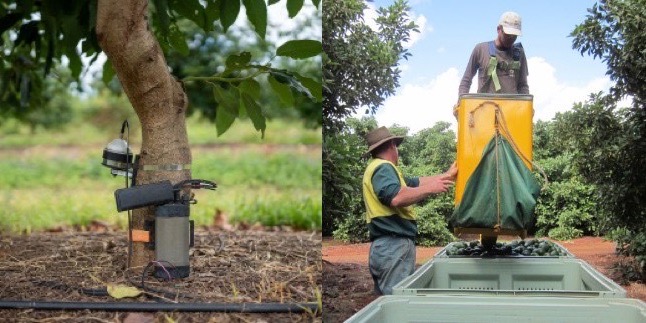 1706170615975181.jpg 4+5.jpg