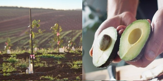 1706170620350813.jpg 6+7.jpg