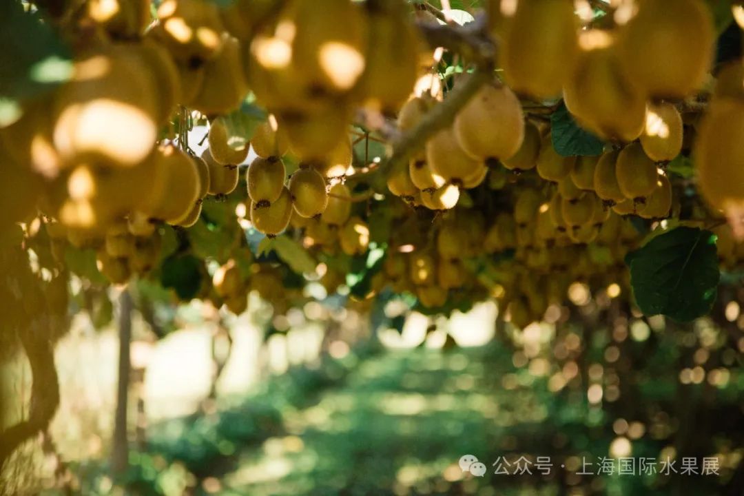 1708492505163620.jpg 640.jpg