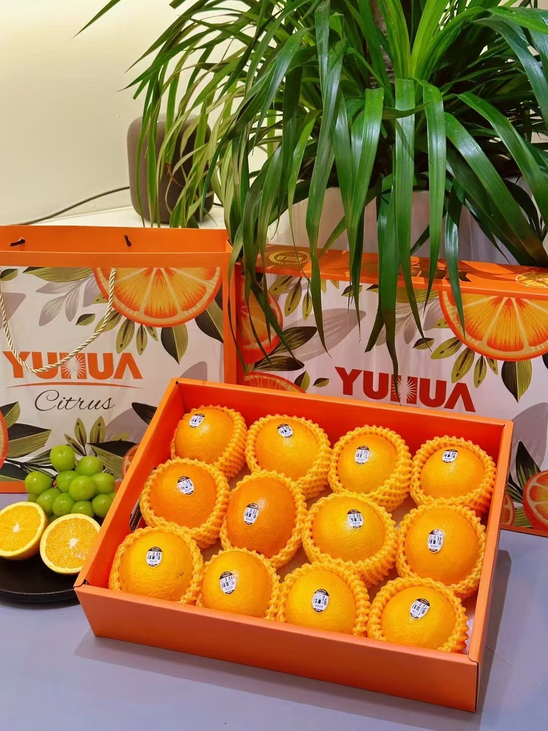 1723602071177112.jpg 微信图片_20240814101930.jpg