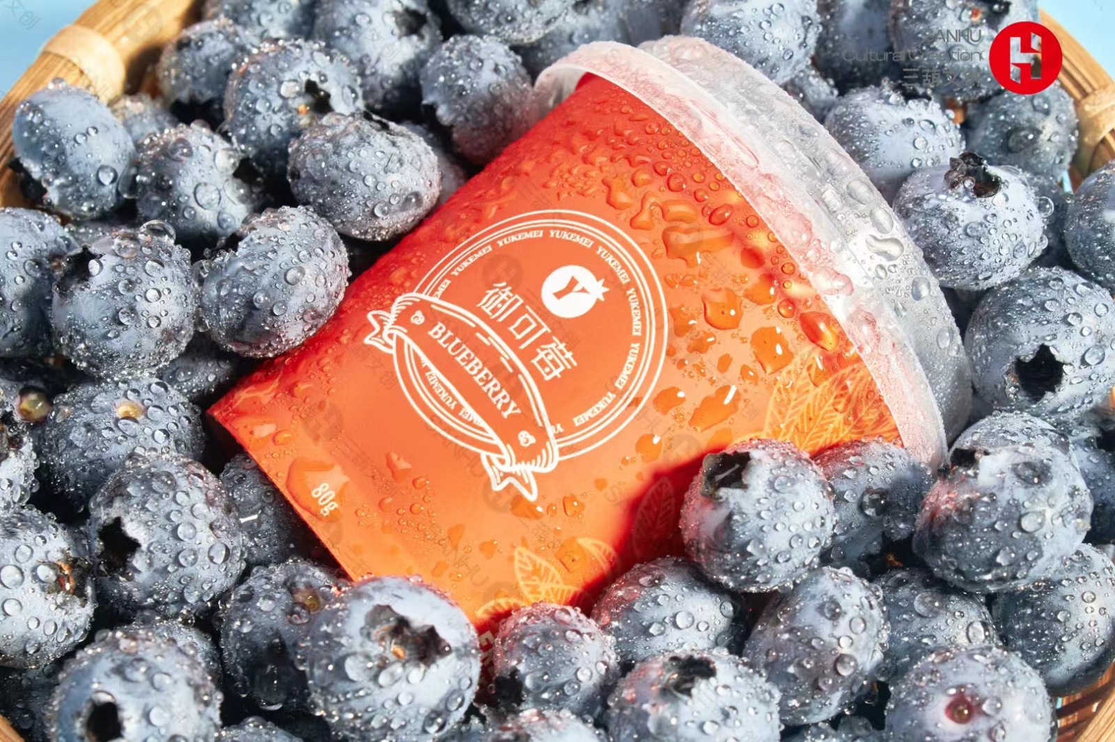 1723602097117532.jpg 微信图片_20240814101942.jpg