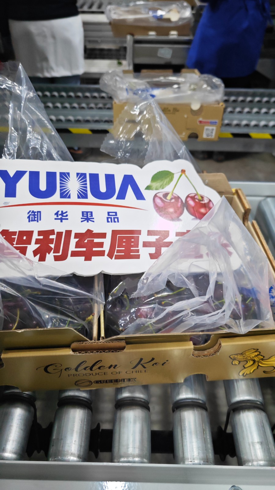 1723602113308165.jpg 微信图片_20240814101947.jpg