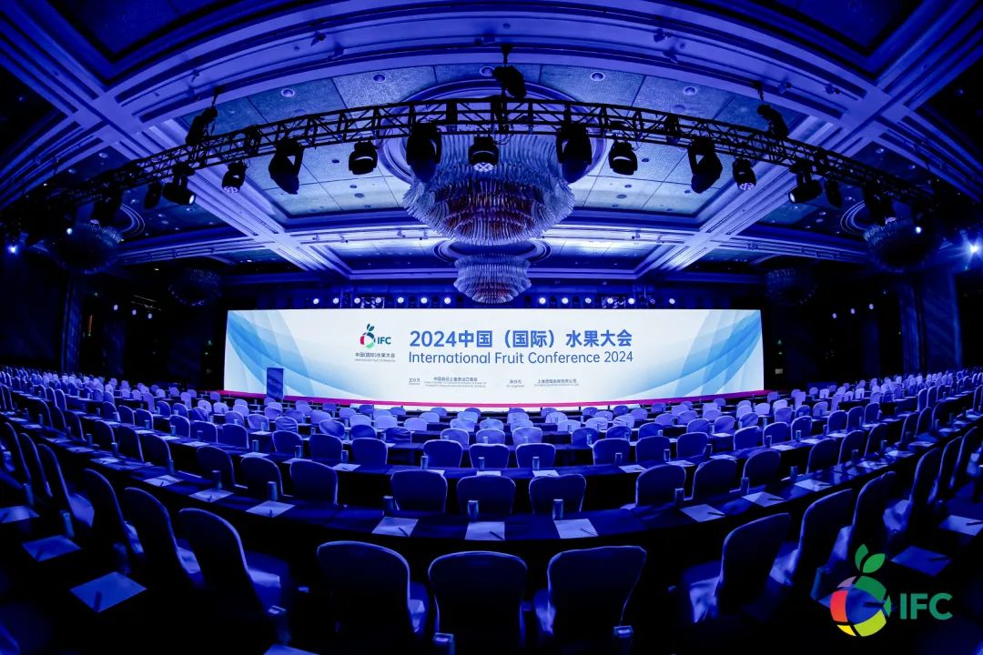 1725531872255254.jpg 1.jpg