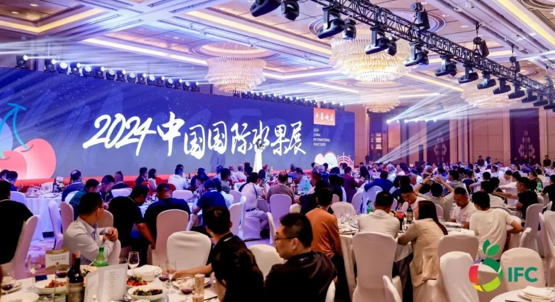 1725531996439481.jpg 5.jpg