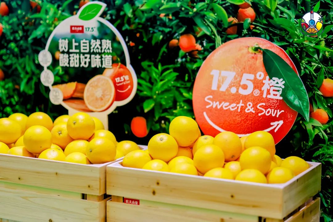 1725533607254053.jpg 20.jpg