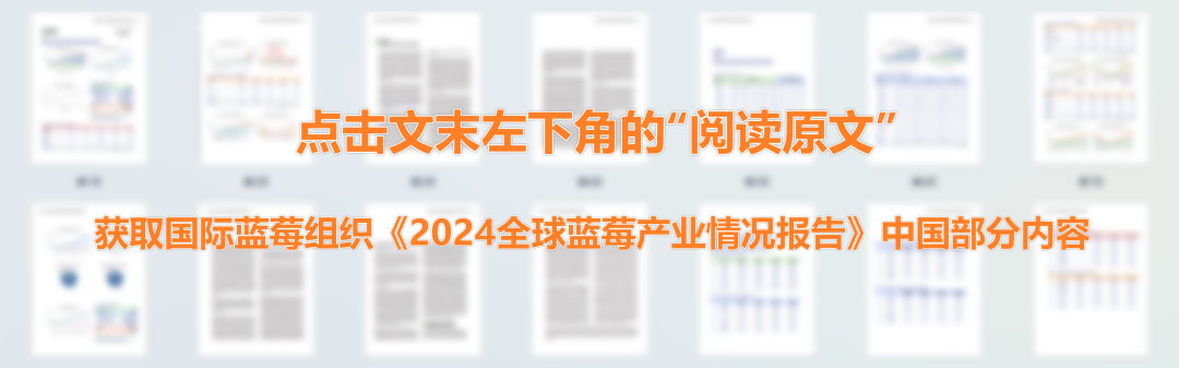 1733897942175634.png 640 (1).png