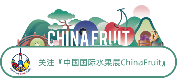 1735004144619718.png djEvV2ZSYnc3MVdlb3ltc2VGRnN5MW9DWC1UczlCS3daT21SMXU0WEFrVFNZYWxPYWtwLURsSXprY3lRTU9HRC1pUER2bjRFcUVmUVdha2JlbnFXdE43TmxBRjQ1ZDFwUFhPNkpTMW92VWFlakE9.png