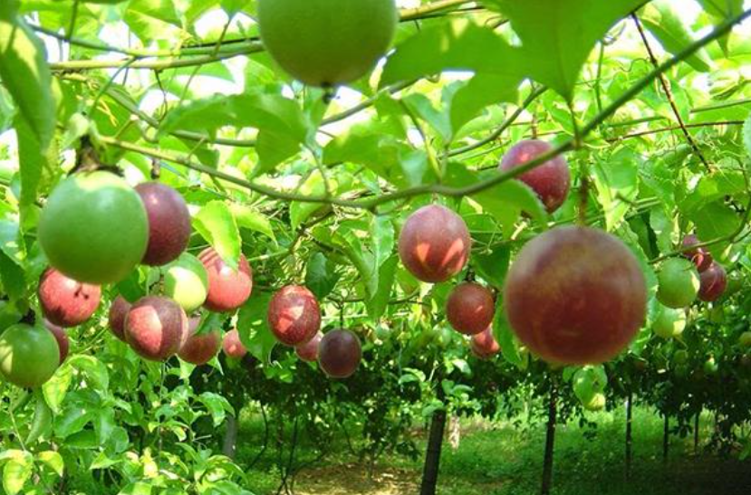 1747880372506582.png 微信图片_20250522101754.png