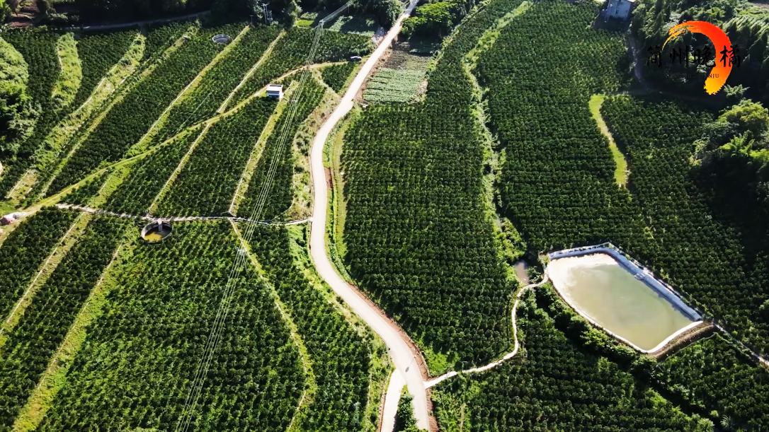 1750063584990810.png 图片2.png