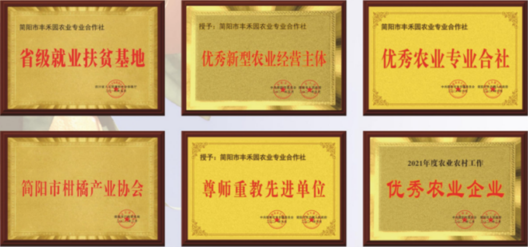 1750063656637120.png 640 (5).png