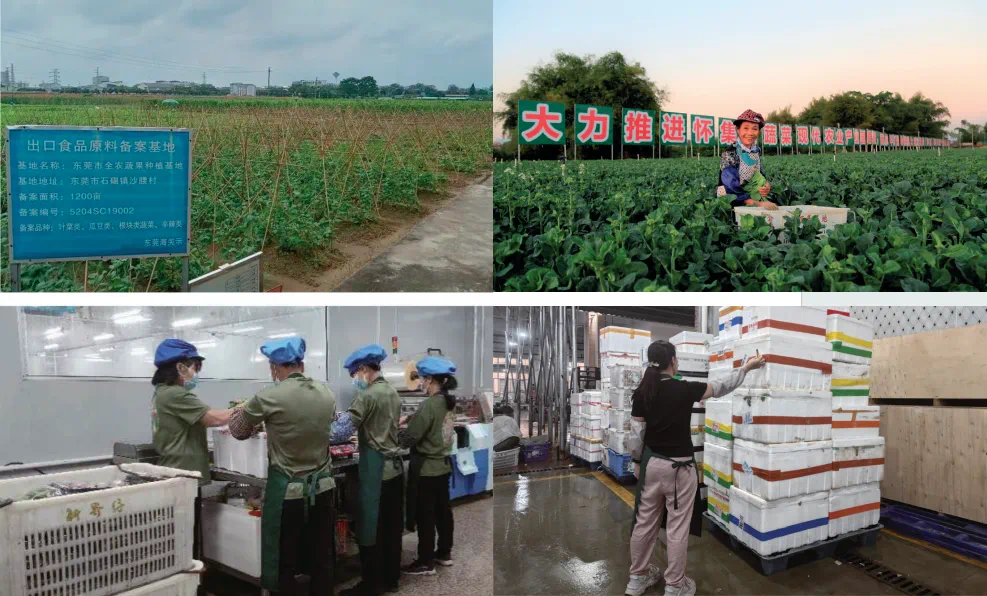 1752649037643544.png 微信图片_20250716145133.png