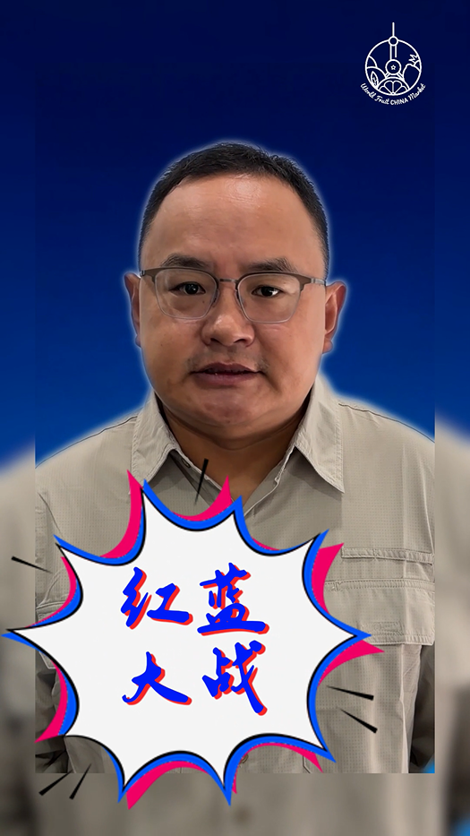 红蓝大战封面.png